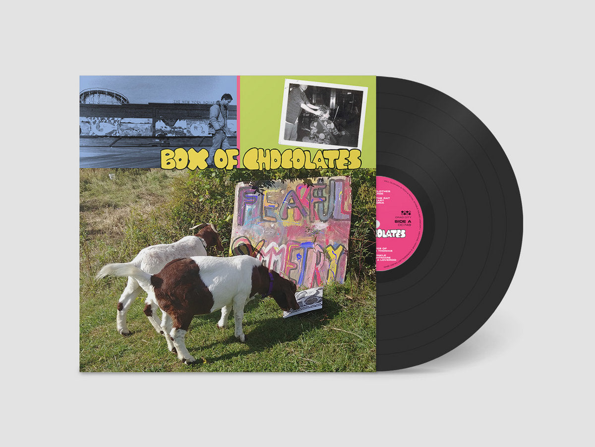 Fearful Symmetry (Vinyl LP)