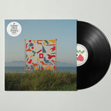 An Ever Changing View (Vinyl 2LP)