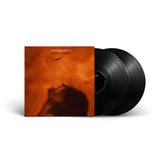 Black Angels (Vinyl 2LP)