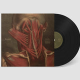 THE FALL: A Series of Documented Experiences (Vinyl LP)