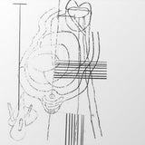 Camofleur (Reissue) (Vinyl LP)