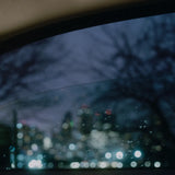 Natural Wonder Beauty Concept (Vinyl LP)