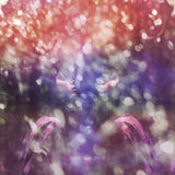 Fair Youth (10th Anniversary) (Limited Pink and Black Marble Vinyl LP)