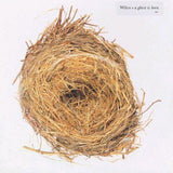 A Ghost is Born (Reissue) (Vinyl 2LP)