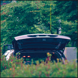 Pareidolia (Vinyl LP)