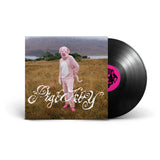 i don't care if anyone listens to this shit once you do (Limited Vinyl LP)