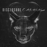 Caracal (10th Anniversary Zoetrope Vinyl 2LP)