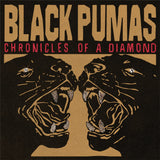Chronicles of a Diamond (Clear Vinyl LP)