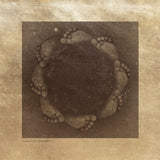 Campus Christy (Vinyl LP)