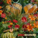 Sojourn (Vinyl LP, Orange)
