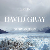 Life in Slow Motion (Deluxe 20th Anniversary Edition) (Glacial Blue Vinyl 2LP)