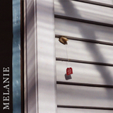 It Starts From The Inside (Vinyl LP)