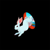 Animal Hospital (Future Blue Vinyl LP)