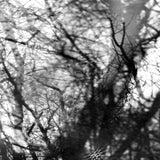 Way They Crept (Vinyl LP)