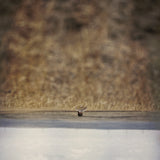 Hands That Bind Soundtrack (Vinyl LP)