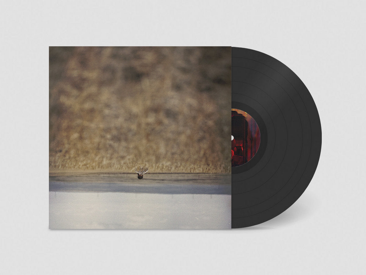 Hands That Bind Soundtrack (Vinyl LP)