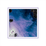 Look Outside Your Window (CD)