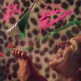 Dave McArtney & The Pink Flamingos