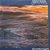 Moonflower