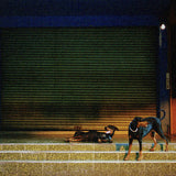 Pure Devotion (Indie Exclusive Blue Marble Vinyl)