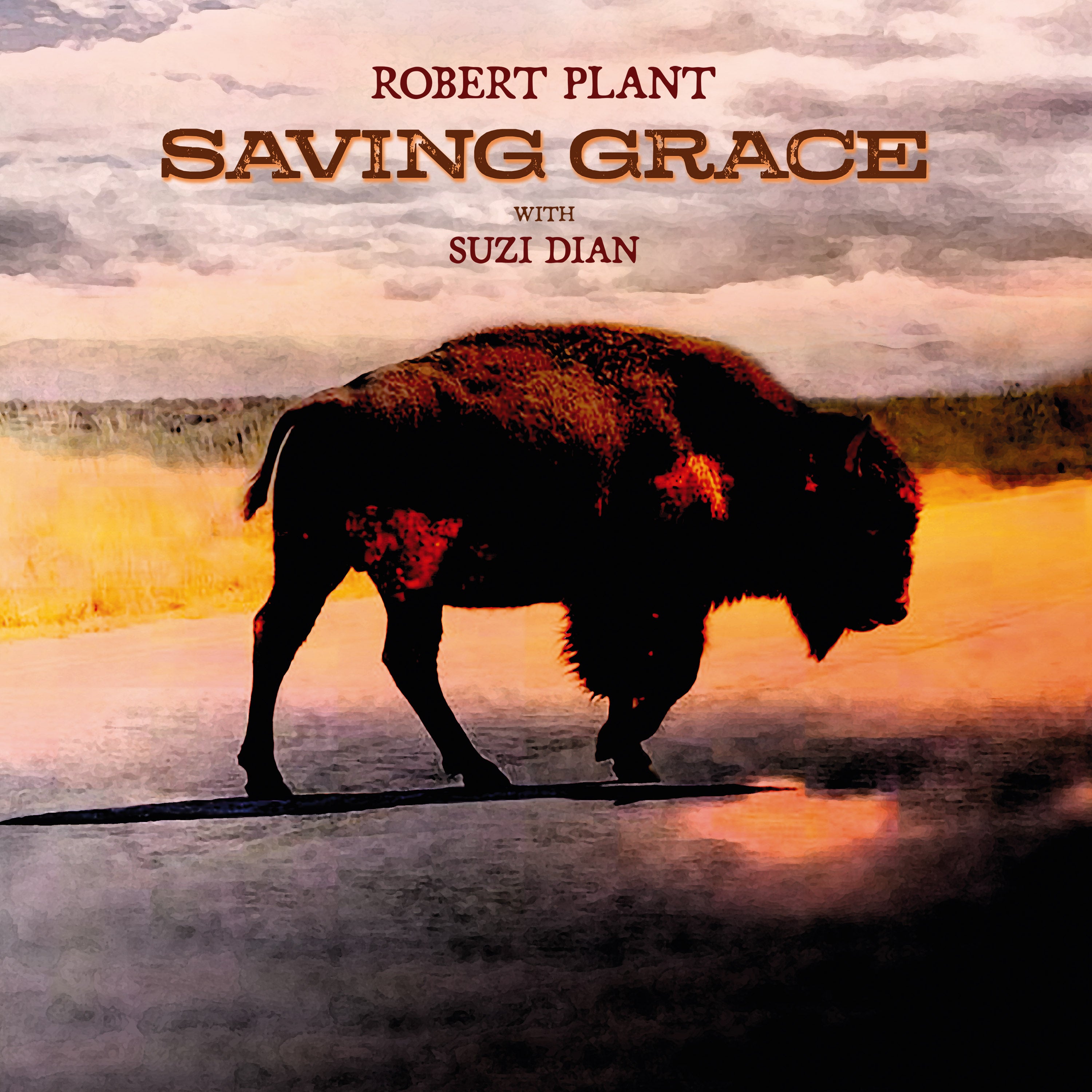 ROBERT PLANT - Saving Grace (Vinyl LP, Black) – Flying Out