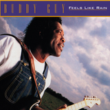 Feels Like Rain (30th Anniversary Edition Limited Purple Vinyl LP)