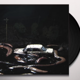 Pretty in the Dark (Vinyl LP)