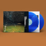 This Stupid World (Limited Blue Vinyl 2LP)
