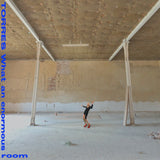 What an Enormous Room (Vinyl LP)