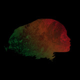 Eyes Rest Their Feet (Vinyl 2LP)