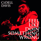 Feel Like Doin' Something Wrong (Reissue) (Vinyl LP)
