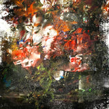 Capturing Animals (Vinyl LP)