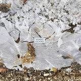 Lost Words (Vinyl LP)