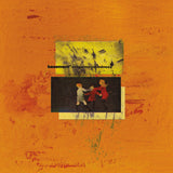 Colourmeinkindness (Vinyl LP, Orange)