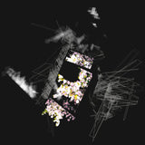 Capture and Release (Reissue) (Vinyl 2LP, Black)