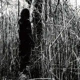 Today, I Wrote Nothing (10th Anniversary) (Coke Bottle Clear Vinyl 2LP)