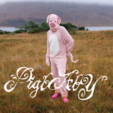 i don't care if anyone listens to this shit once you do (Limited Vinyl LP)