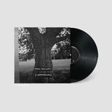 A New Place 2 Drown (Instrumentals) (Vinyl LP)