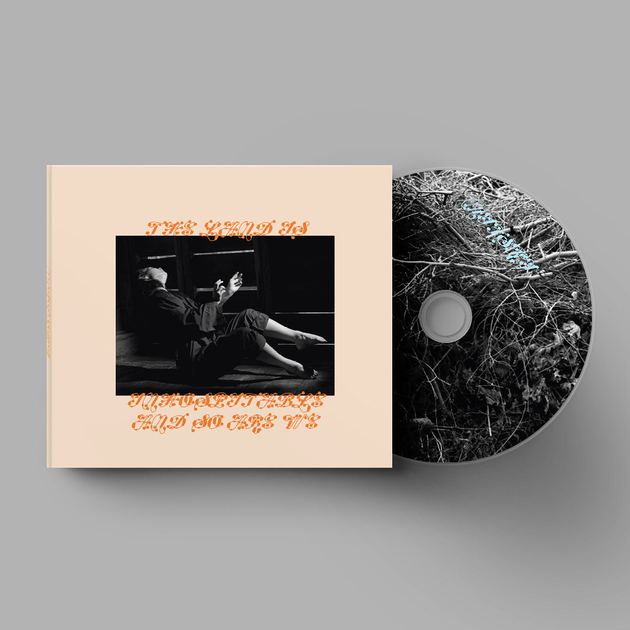 The Land is Inhospitable and So Are We (CD)