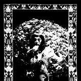 Model Express (Reissue)