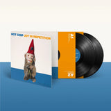 Joy in Repetition (Vinyl 2LP)