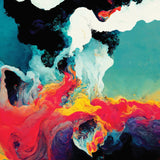 Environments (Vinyl LP)