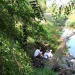 New Zealand 2014 - Flying Out