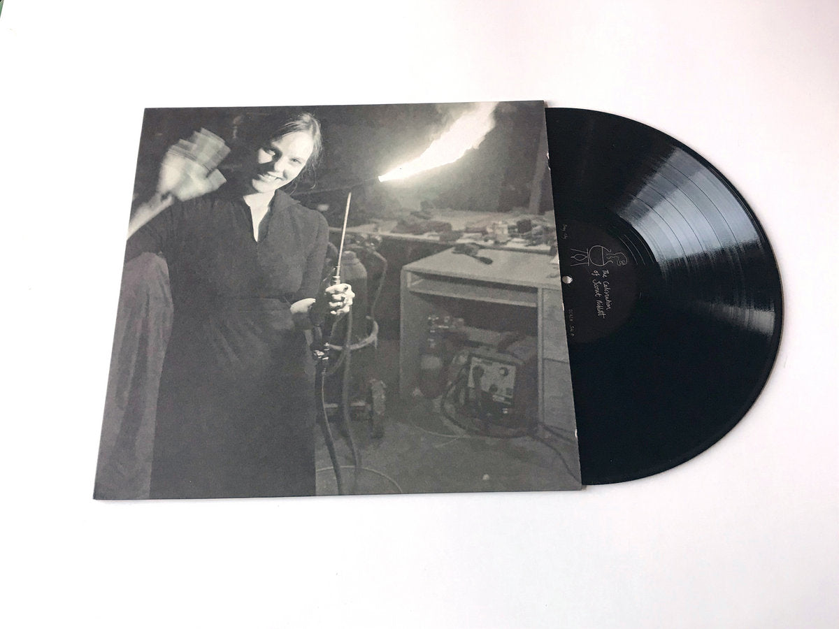 The Calcination Of Scout Niblett