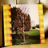 A Golden Brain (Reissue)