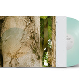 Maples, Ash, and Oaks: Cedars Instrumentals