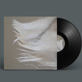 Marching With Feathers