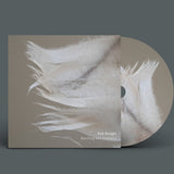 Marching With Feathers