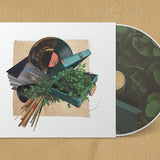 Some Things Take Time