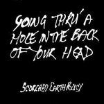 Going Thru' A Hole in The Back LP - Flying Out